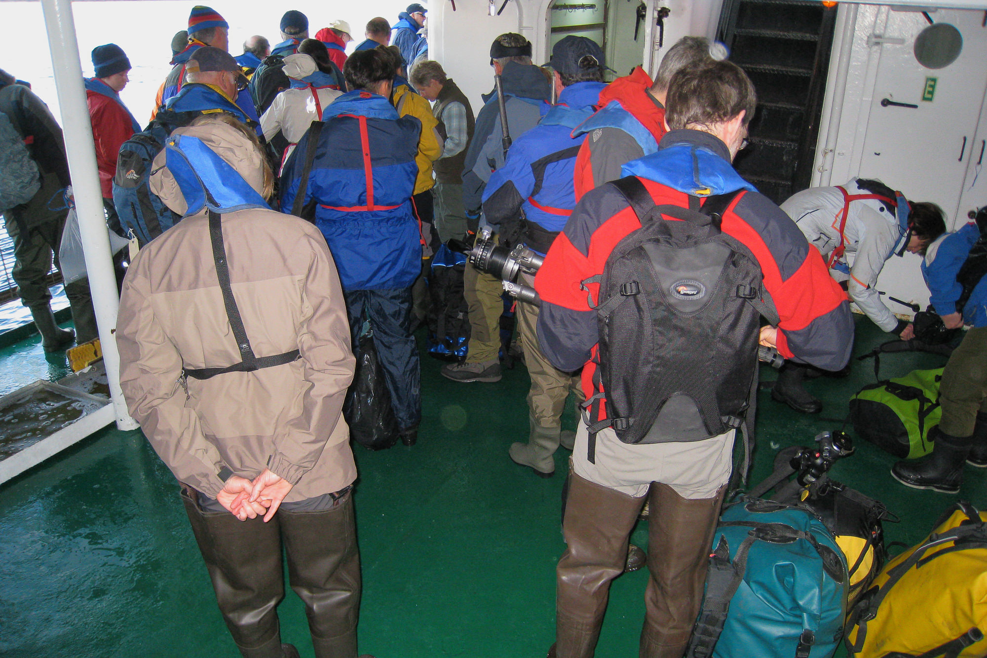 warten auf das nächste Zodiak das uns an den Strand von New Island bringt